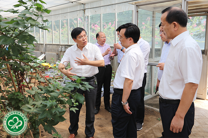 棉柳坪村民委员会领导团队全新亮相，展望未来发展之路