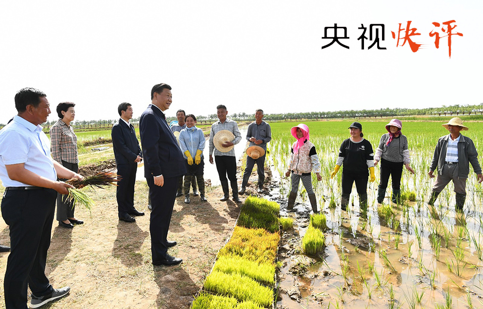 芦子滩村民委员会推动乡村振兴，实现共同富裕的最新动态