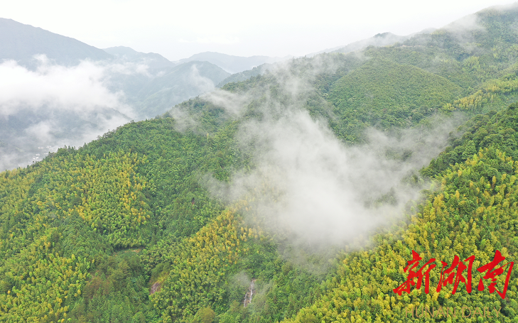 炎陵县桃源洞管理局天气预报与旅游指南